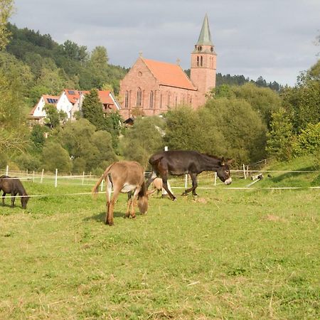 Ferienwohnung Spreter Zimmern ob Rottweil Dış mekan fotoğraf