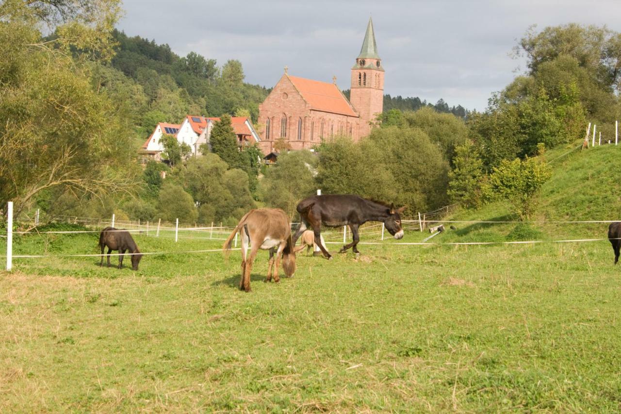 Ferienwohnung Spreter Zimmern ob Rottweil Dış mekan fotoğraf